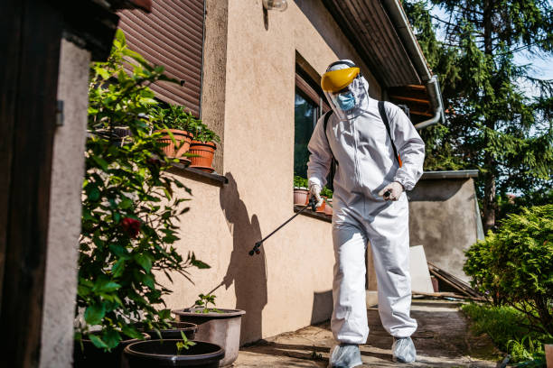 Best Emergency Pest Control  in Los Chaves, NM